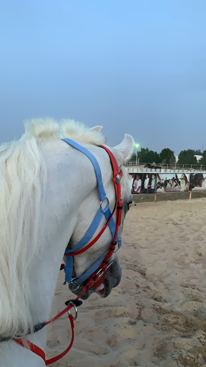 مربط عمق الاصايل للخيول - Saudi Arabia|Safwa 32685|An Nahdah|GWQ3+P88