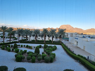 Prince Mohammed bin Abdulaziz Hospital - Al Madinah Al Munawwarah - +966 14 866 9999