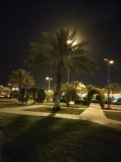 Interventional Radiology Department - Mecca 24246