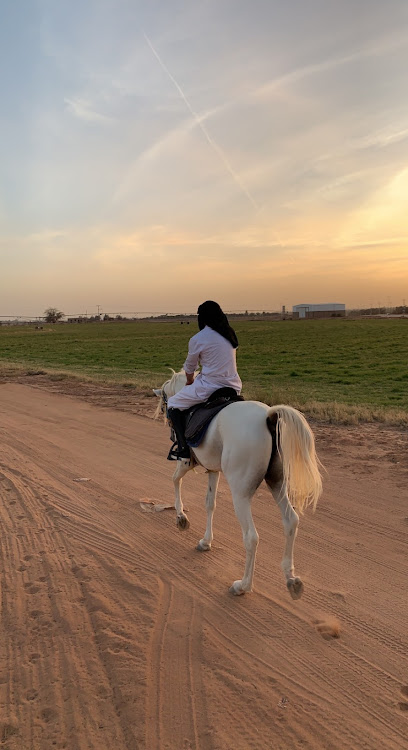 مربط المحجل لتعلم الفروسية - Saudi Arabia|Al Bukayriyah 52722|5MP4+7M2