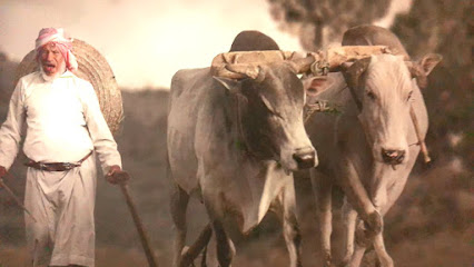مقوقع النحل - Al Namas -