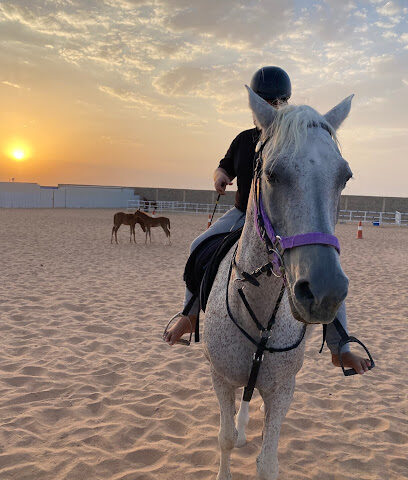 مربط الشهيب - Al Duwadimi - +966 59 100 0040