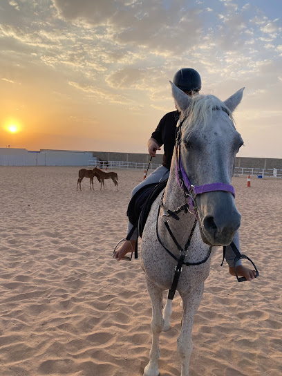 مربط الشهيب - Saudi Arabia|Al Duwadimi 17457|H944+5V8