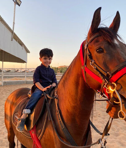ALMEJLAD STUD - مربط المجلاد للخيل العربية الأصيلة - Al Shaaria farm - +966 59 061 7677