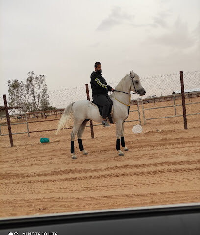 مربط عزم العجايب - Riyadh - +966 54 252 0505