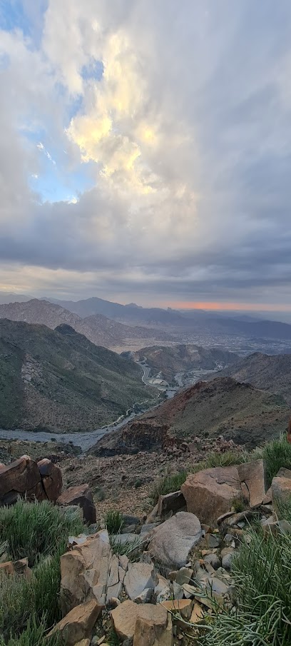 Aljammalah Trail - Saudi Arabia|26794