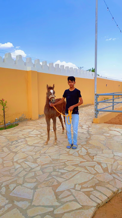 مربط الصافنات في بريدة الطعميه - Buraydah 52214