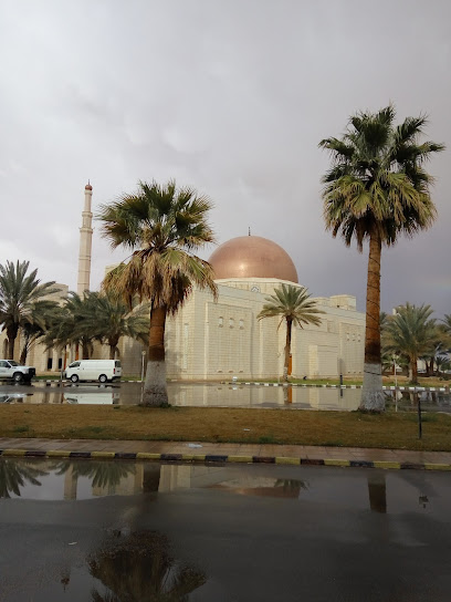 Elaf Al-Jawf - Sakaka 72341