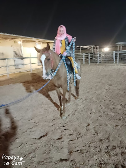 اكاديمية كاف CAF للفروسية - Saudi Arabia|Riyadh 13635|الجنادرية