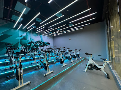 XFit Fitness - Buraydah - +966 59 493 6573