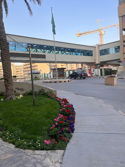 Neurology Clinic - Riyadh 12233