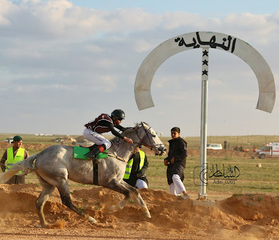 مربط الفارس - Arar -