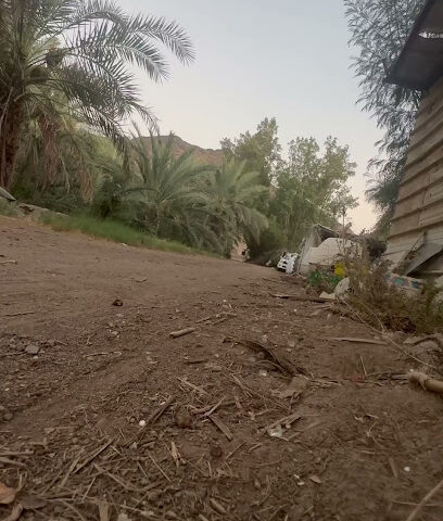 مربط ابناء الكرشمي للخيل العربية الاصيله - Al Madinah Al Munawwarah - +966 59 606 0927