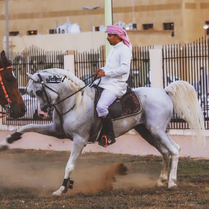مربط نوادر الخيل QB - جيزان صامطه - +966 55 825 4926