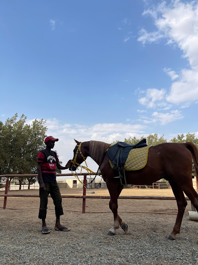 Stable Knights of Taif - Saudi Arabia|Ashayrah 26351|4410|كوبري عشيرة
