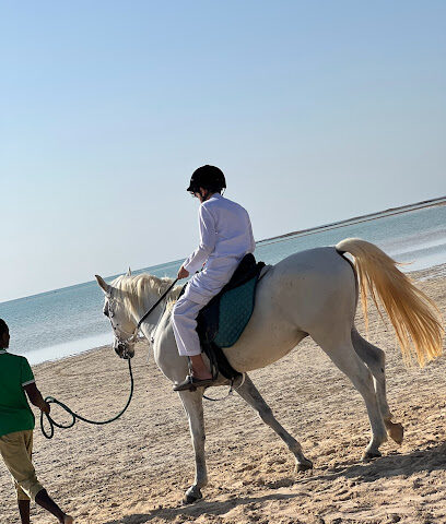 لاقونا لركوب الخيل Lagoona Horseback Riding - King Abdullah Economic City - +966 56 568 5626