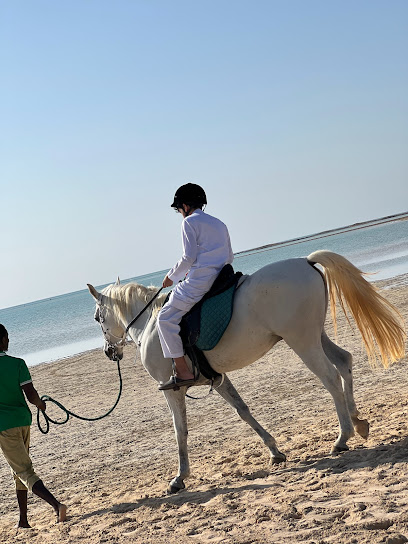 لاقونا لركوب الخيل Lagoona Horseback Riding - King Abdullah Economic City 23961