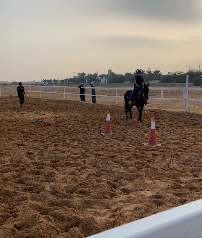 مربط سهيل للخيل العربية الاصيلة - Al Hayathem - +966 53 497 6776
