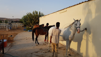 Ramah Equestrian - Riyadh - +966 55 300 0874