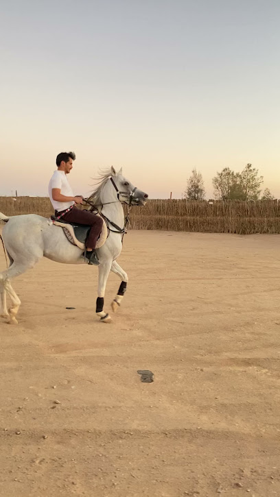 مربط الجبلين - Saudi Arabia|Unnamed Road 55236،