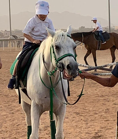 مربط البرّاق للخيل والفروسية - Al Madinah Al Munawwarah - +966 56 673 0226