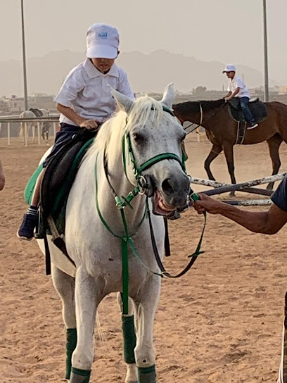 مربط البرّاق للخيل والفروسية - Saudi Arabia|Al Madinah Al Munawwarah 42221|King Khalid Rd