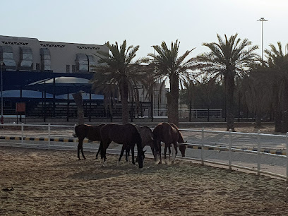 اكاديمية موسم السرعة للفروسية - Riyadh -