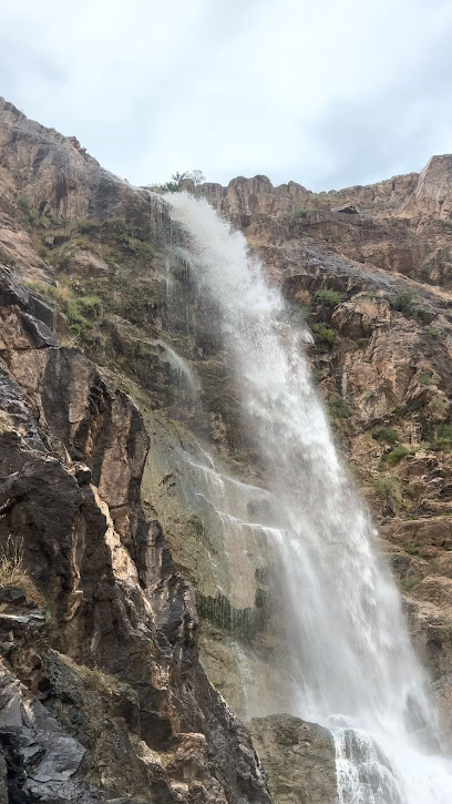 مخطط جدرة - Al Bahah 65726