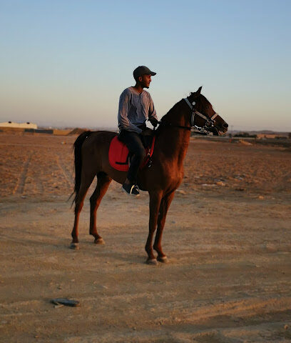 اسطبل خيبر - Tabuk - +966 54 529 7405