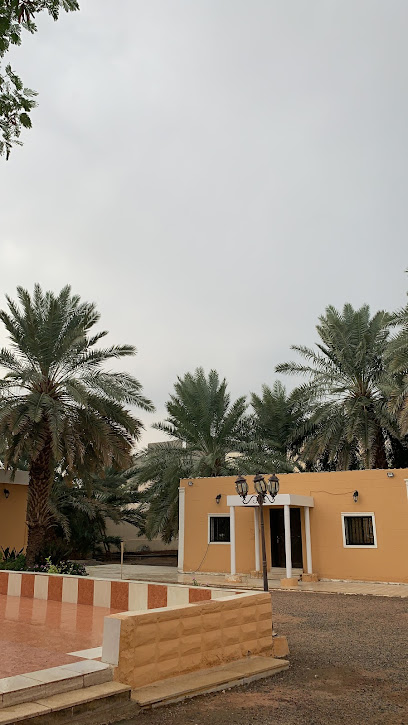 ديوان محمد الفاهد - Al Madinah Al Munawwarah 42333
