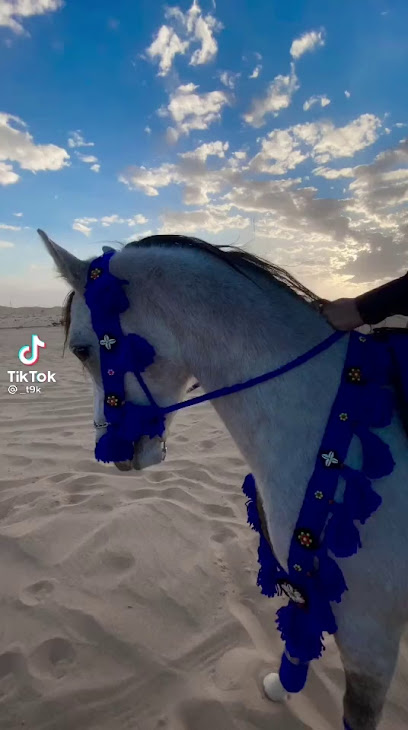 اسطبل فرسان حفر الباطن - Saudi Arabia|Hafar Al Batin 39902|C39C+R59