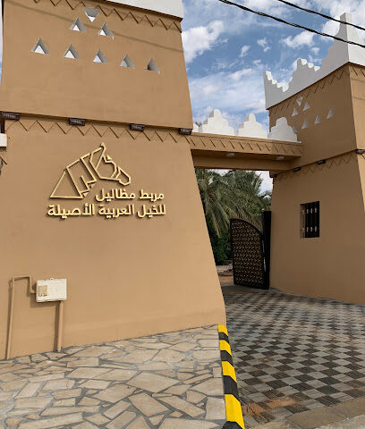 مربط مظاليل للخيل العربية الأصيلة - Marat - +966 55 327 7557