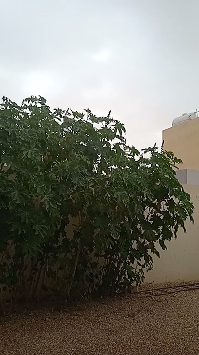 Housing Complex - Saudi Arabia|Hafar Al Batin 39821|6781