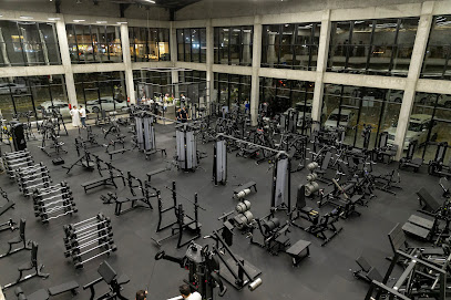 CRUSHMUSCLE - Buraydah - +966 53 804 8021