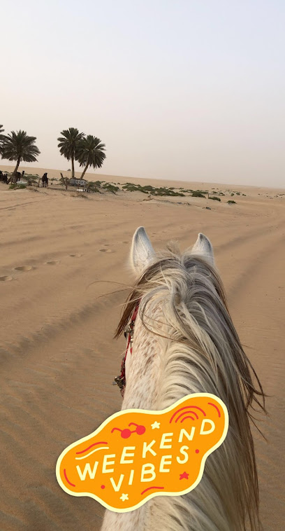 Remal Stud - Saudi Arabia|Dammam 32354|8VG9+96