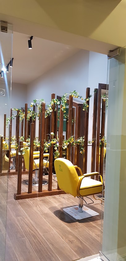 Butterfly fitness center - Saudi Arabia|Dumat al-Jandal 74633|King Faisal Rd|RR2W+746