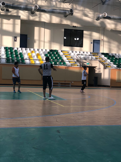 Tabuk University Gym - Saudi Arabia|Tabuk 47731|King Fahad Road|9FC9+8G4