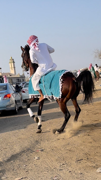 اسطبل المسيرة - Saudi Arabia|ام الحمام الحمدانية