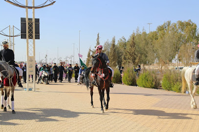 مربط شبيب البلوي للخيل العربية الاصيلة - Turaif - +966 55 539 6690