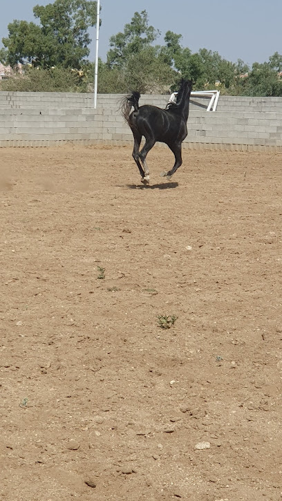 مربط عاديات المنصور للخيل العربيه - Saudi Arabia|Taif 26424|وادي جليل