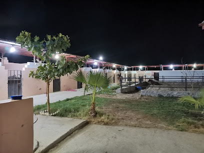 Arabian horses stable مربط الحسناء لأيواء الخيول العربية الأصيلة - Mecca - +966 56 590 8090