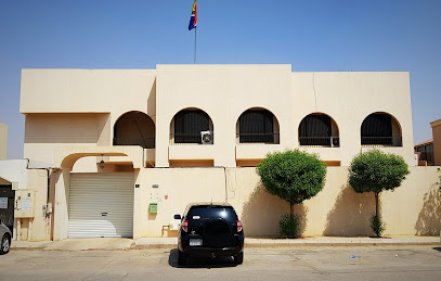 South African Embassy Riyadh - Riyadh - +966 11 482 8390