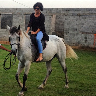 مربط الدراج للخيول - Abu Arish - +966 53 800 8538