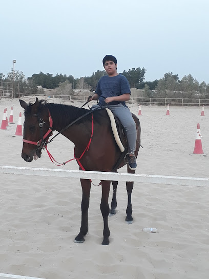 مربط البعيجان للخيول - Saudi Arabia|Safwa 32685|An Nahdah|GWQ3+P8G