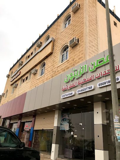 Development Furnished Residential Units - Sakaka 72346