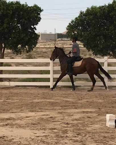 Dhahran Horse Stables - Dhahran 34473