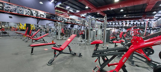 MJ Fitness - Al Qatif - +966 56 490 4630