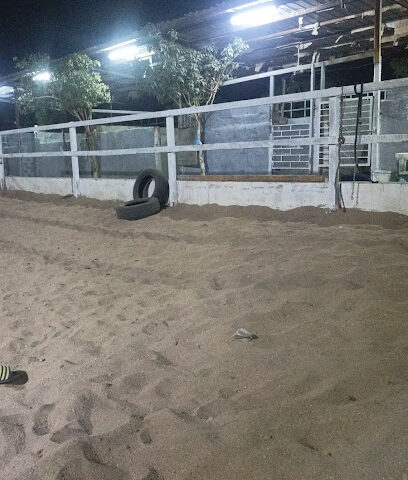 اسطبل ومربط نجم سهيل للخيل العربيه الاصيله - Jeddah -