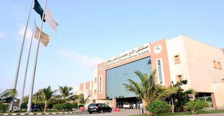 Prince Mohammed bin Nasser Hospital - Jazan - +966 17 322 4628