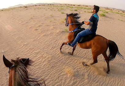 مربط أصول الحجاز للخيل العربية الأصيلة | OH STUD - Mecca - +966 59 168 3337